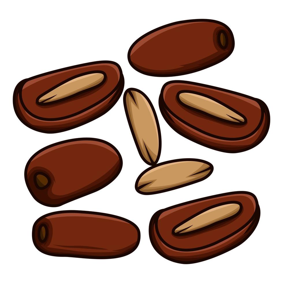 Illustration of dates from Arabic, which are usually eaten in the month of Ramadan vector