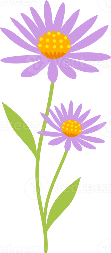 floral fleur éléments symbole icônes coloré png