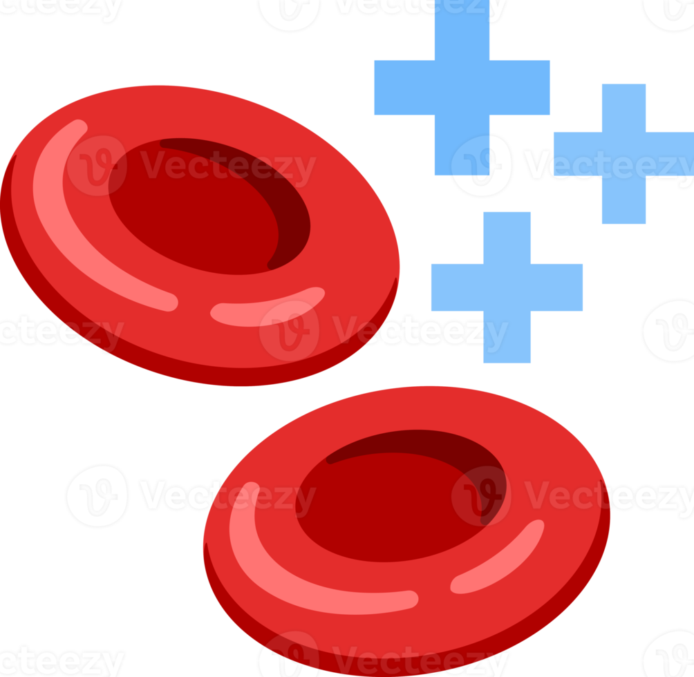 red blood cell png