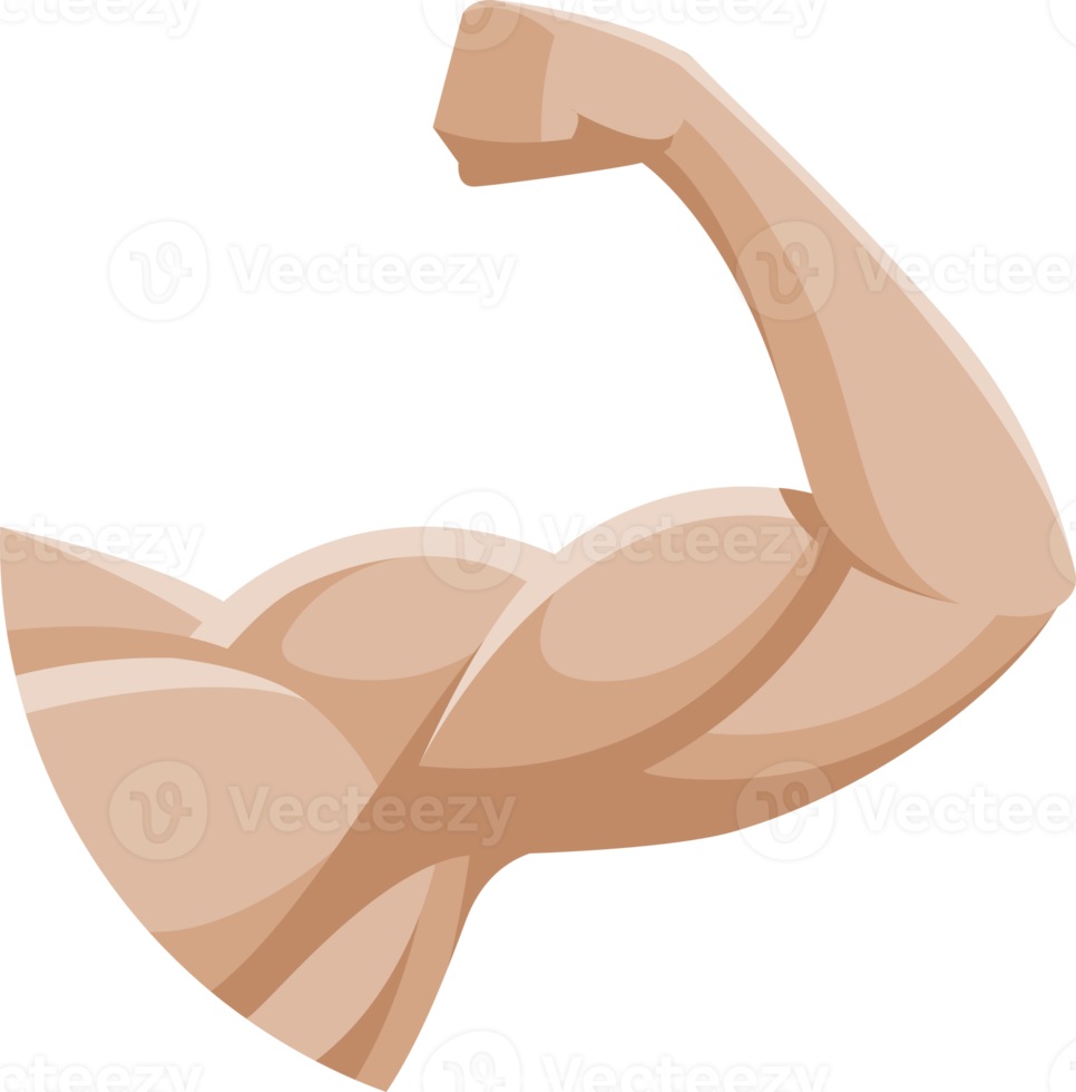 arm muscle symbol png