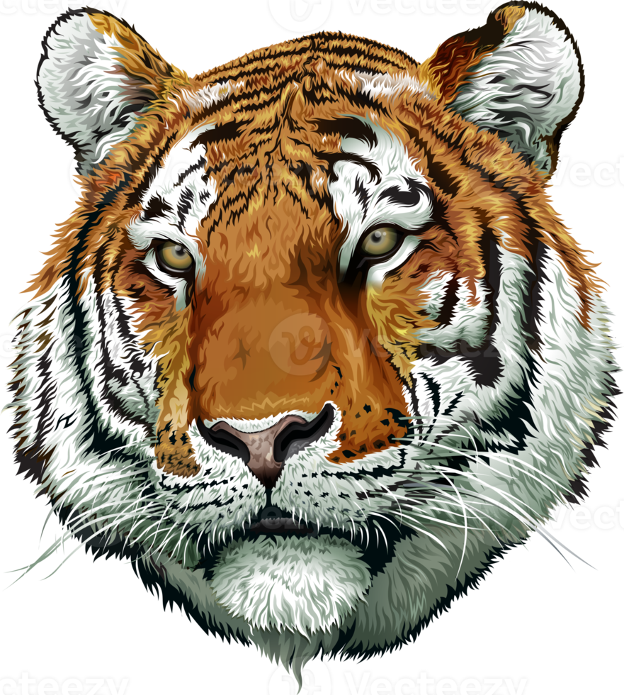 tiger face illustration png