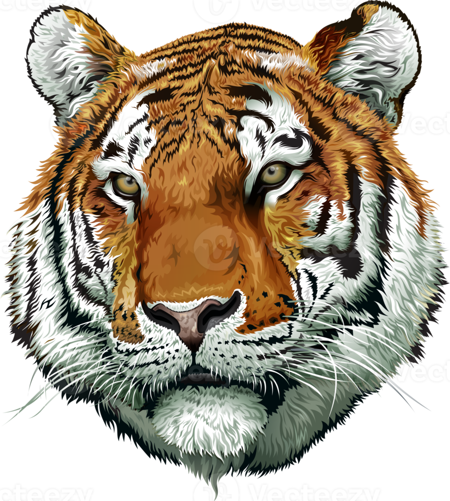 ilustración de cara de tigre png