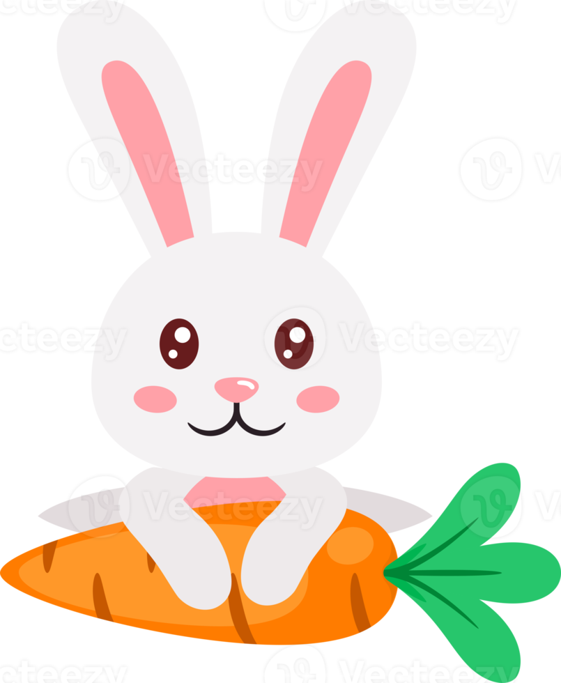 easter bunny rabbit and eggs png