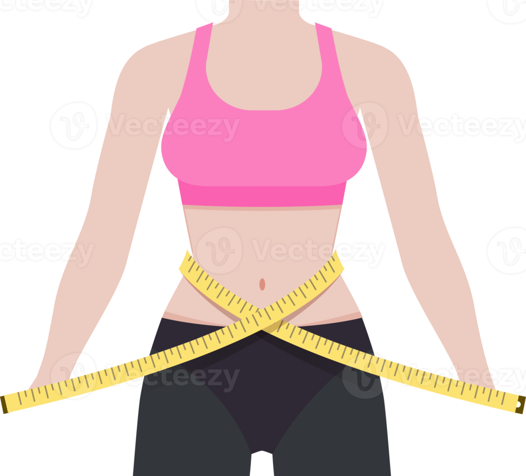 Body Shape Illustration 19616503 PNG Body Shape Illustration 19616503 PNG