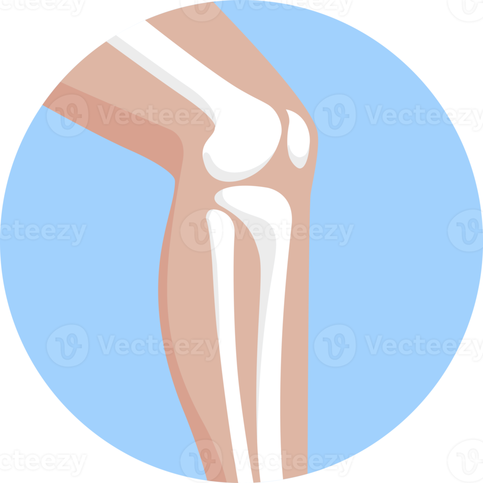 bone leg symbol png