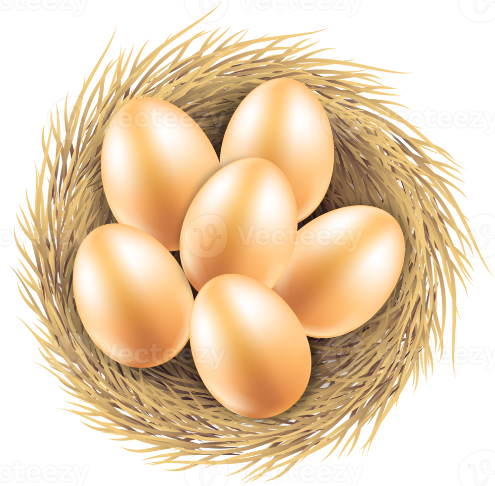 Chicken egg nest png