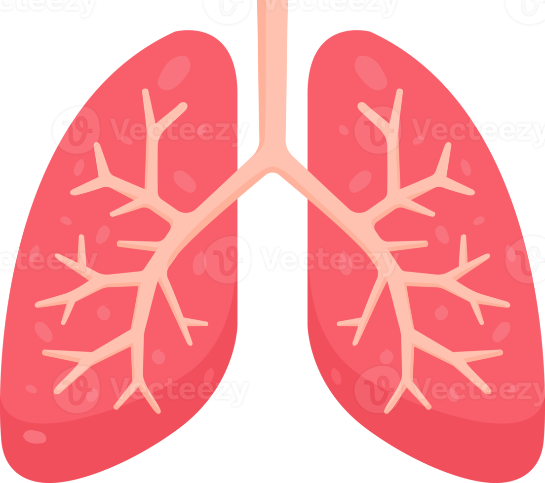 Lungs symbol color png