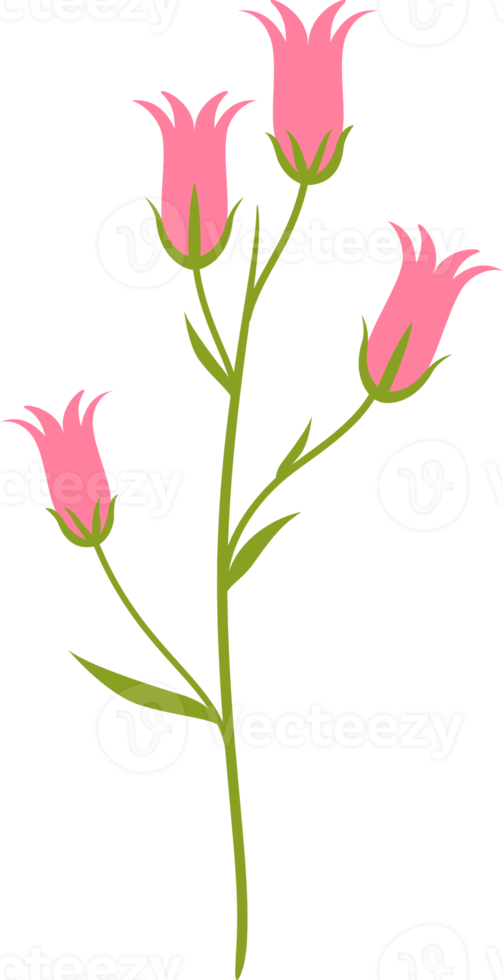 bloemen bloem elementen symbool pictogrammen kleurrijk png