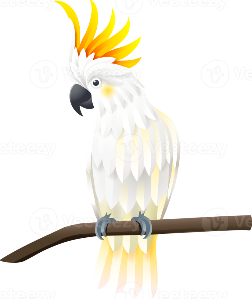 White cockatoo symbol color png