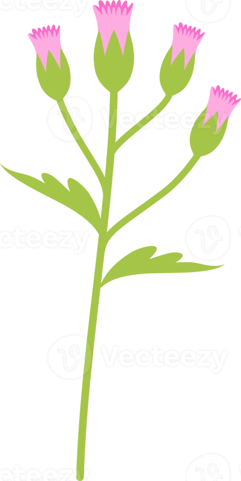 bloemen bloem elementen symbool pictogrammen kleurrijk png