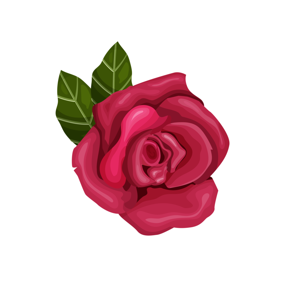 Free rose with leaves berries and accessories on transparent background