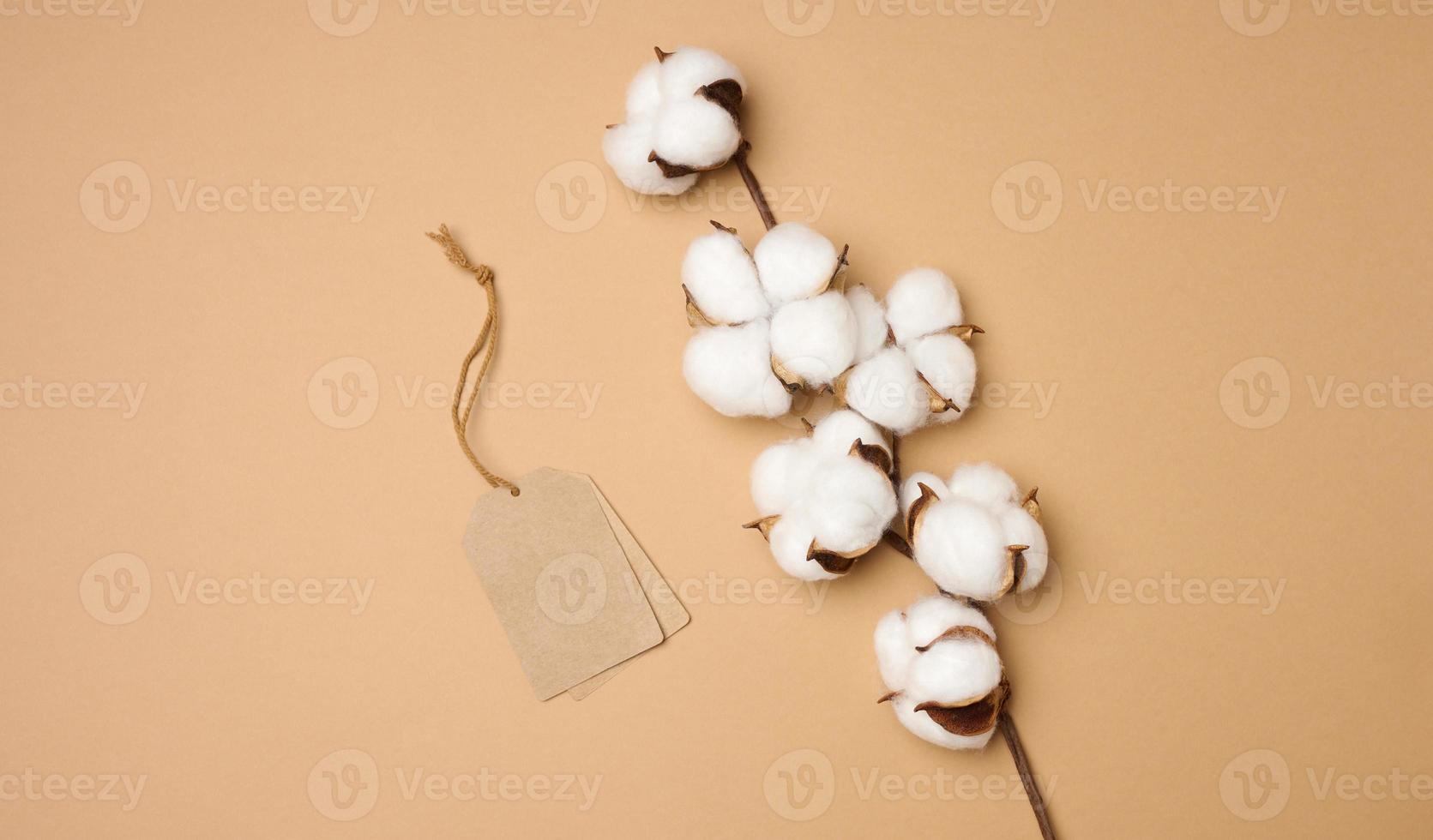 blank brown rectangular, round brown paper tag on a rope on a brown background, template for price, discount photo