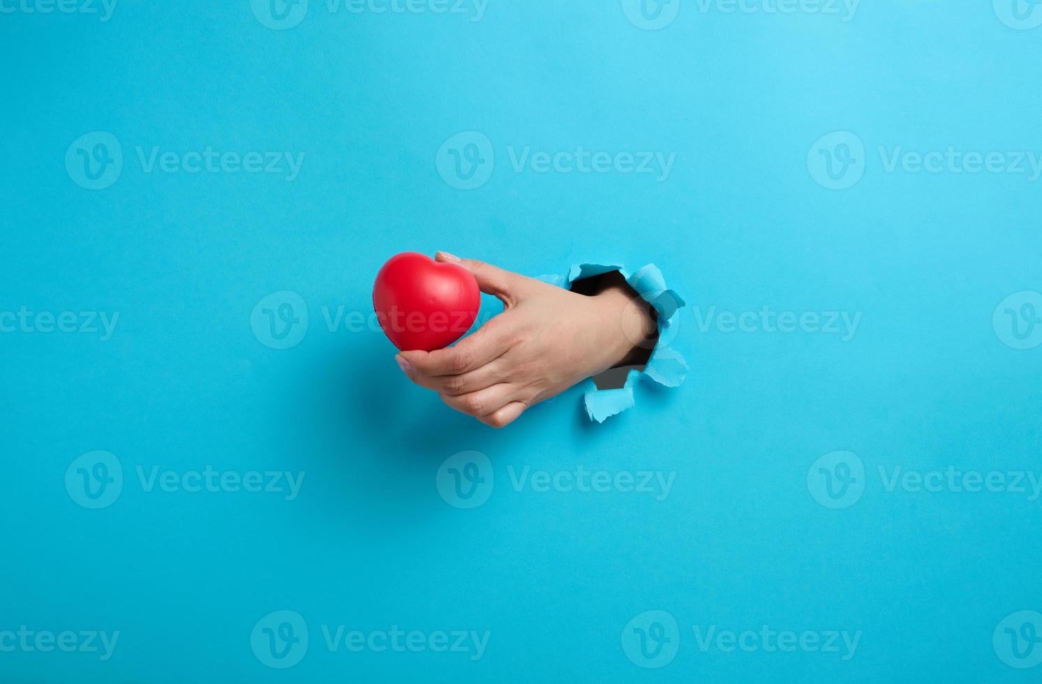 female hand holding a red heart on a blue background. Part of the body sticks out of the torn paper photo