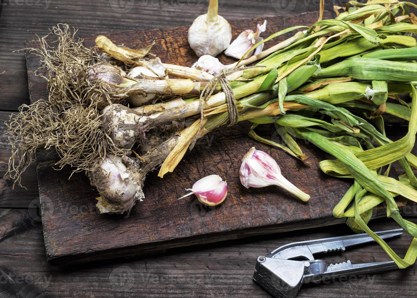 bunch of young garlic on a brown wooden board photo