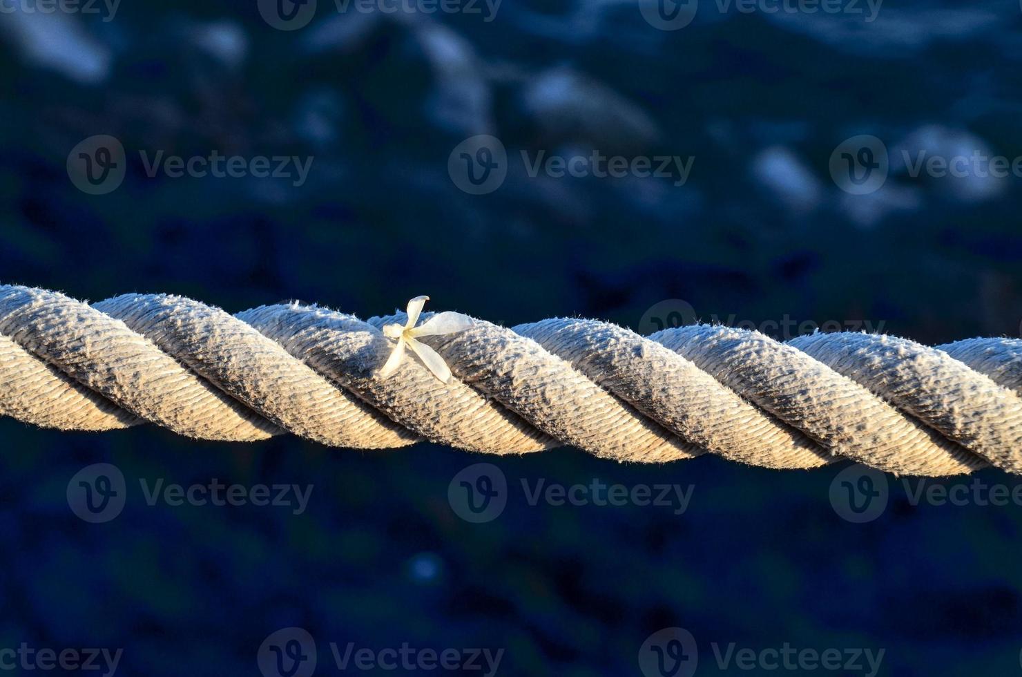 Rope on dark background photo