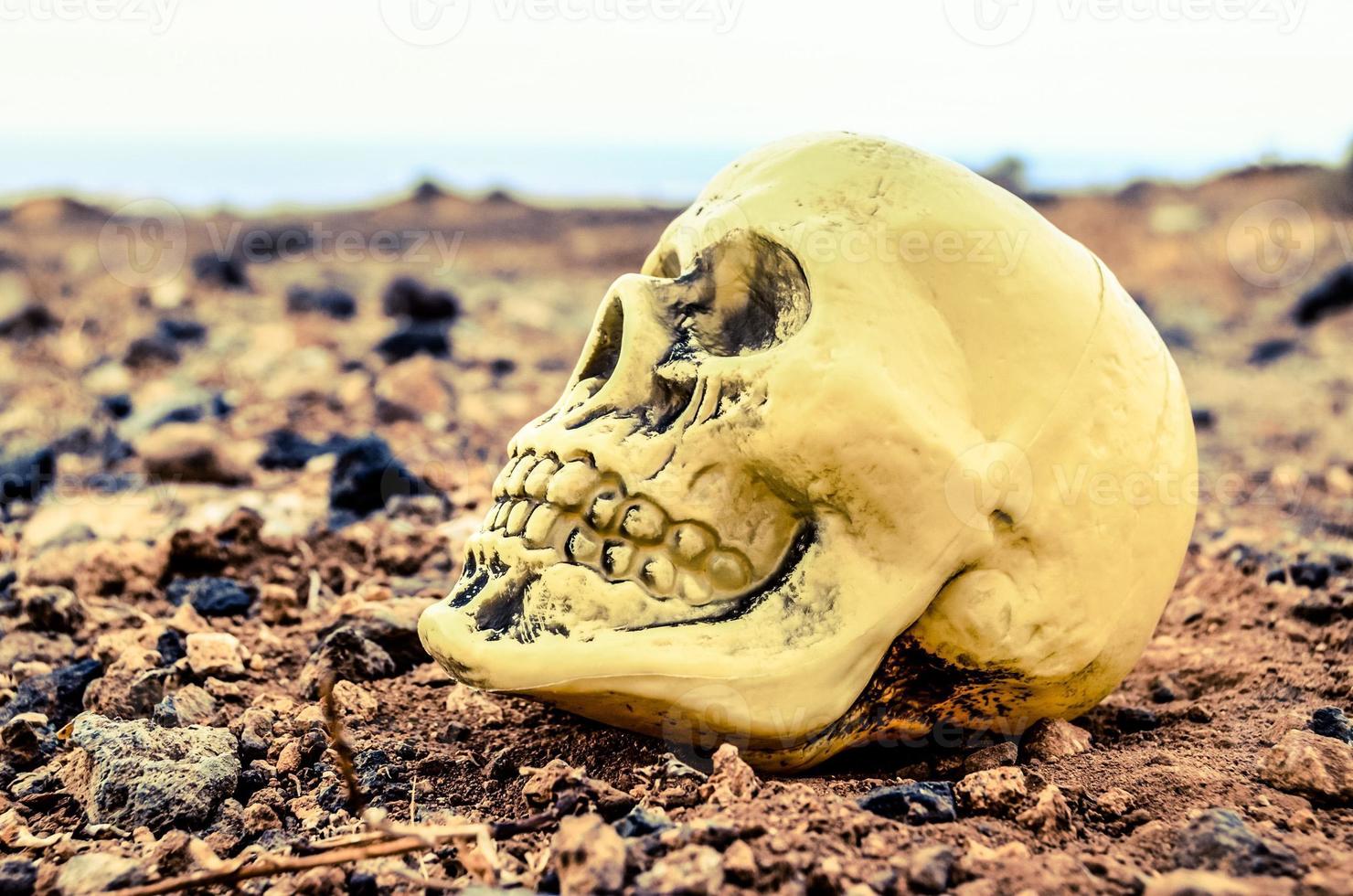 Fake skull in the dirt photo