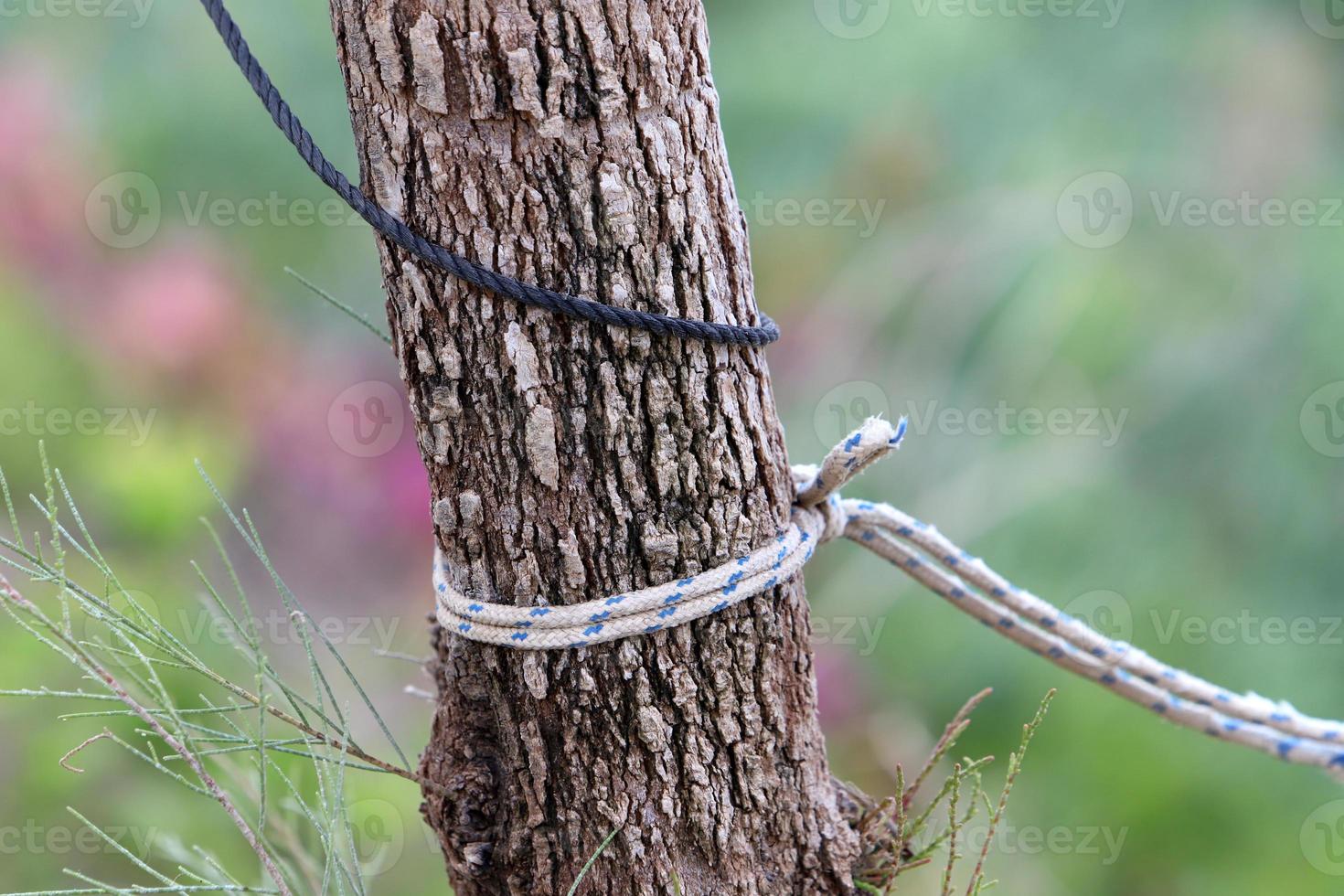 Hemp rope for mooring boats and yachts. photo