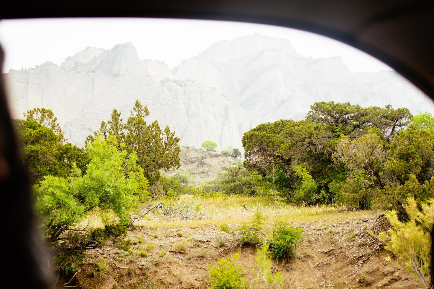 Open window to green nature on car tour around national park. Vashlovani national park protected areas flora and fauna in Georgia photo