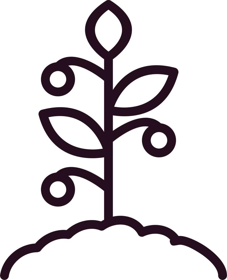 Tomato Vector Icon