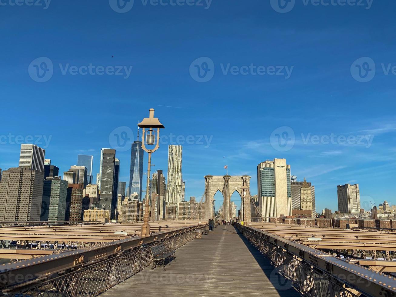 new york in the usa photo