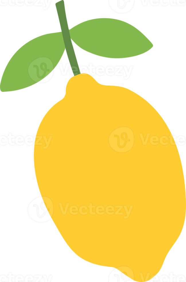 Limone illustrazione mano disegnato stile png