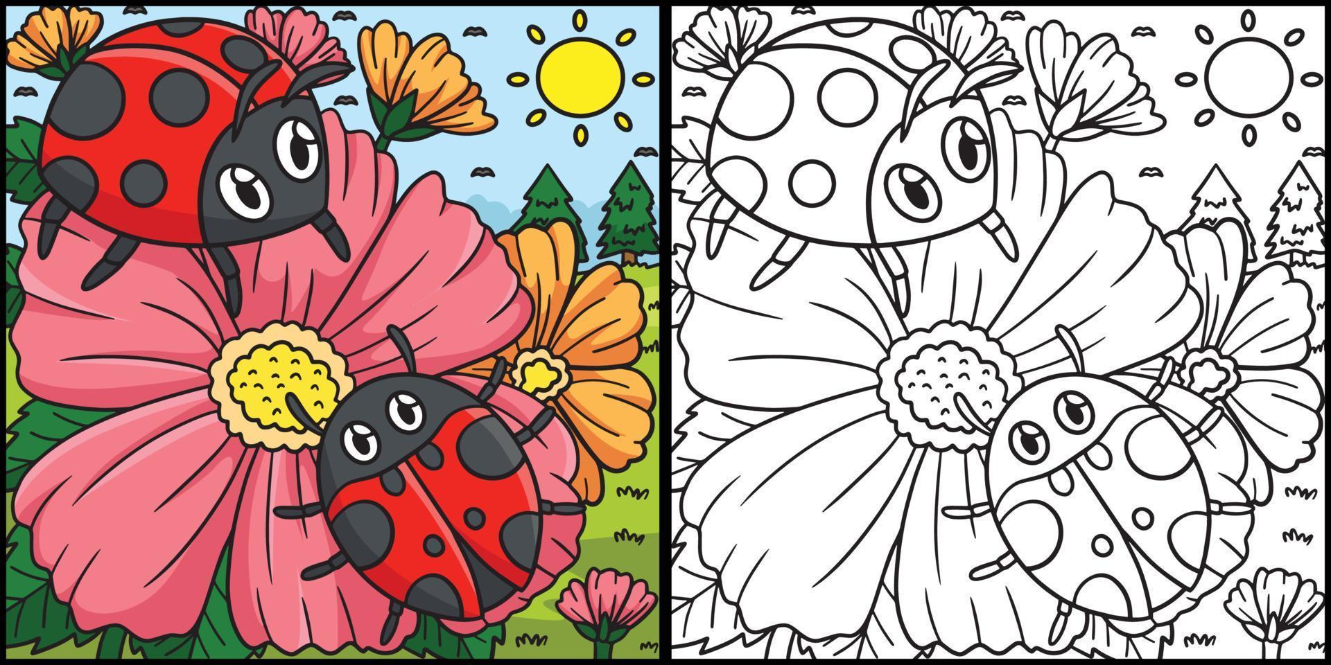 Spring Ladybugs On Flower Coloring Illustration vector