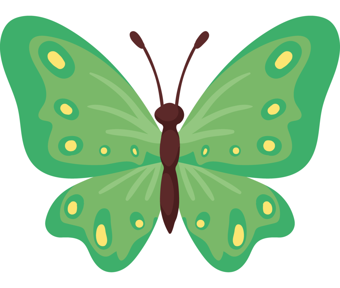 papillon aux ailes vertes png