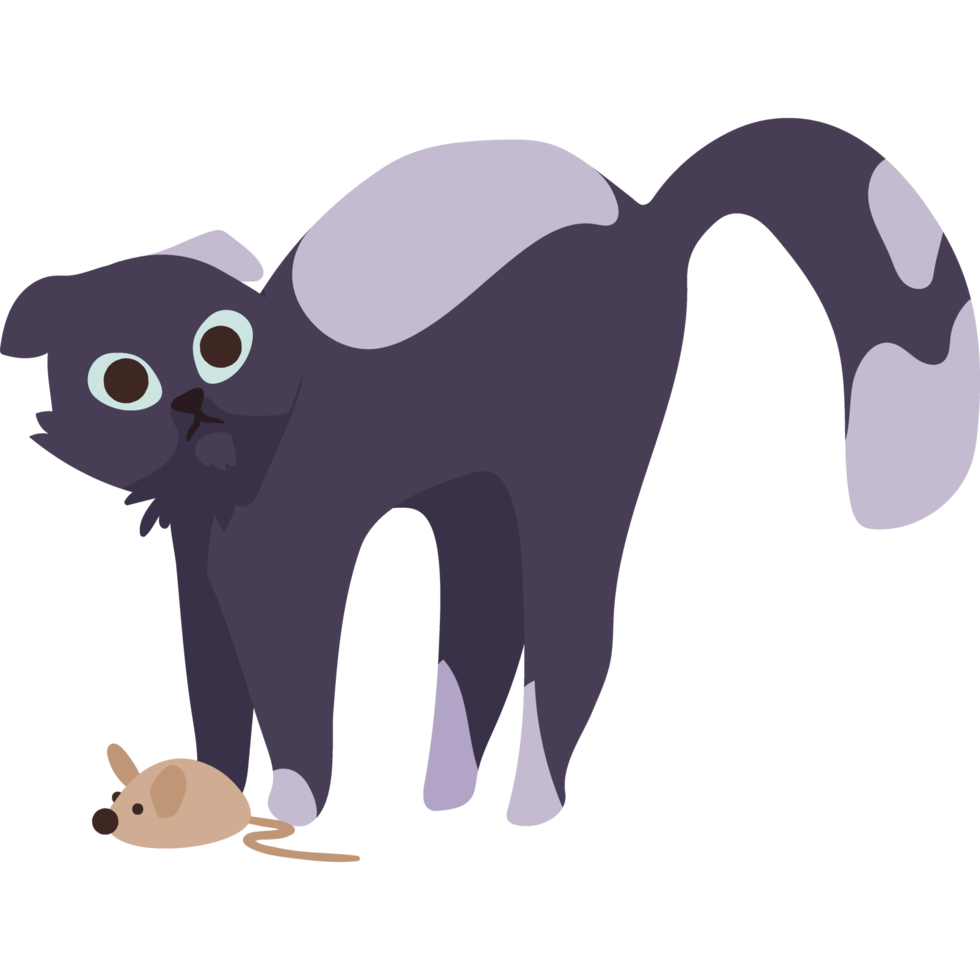 cute cat with mouse png