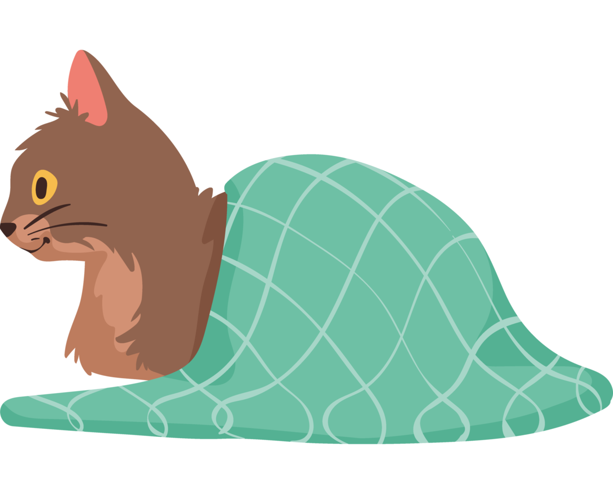 cute cat with blanket png