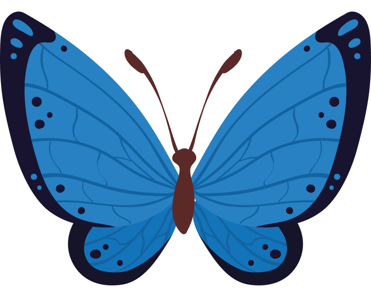 simpatica farfalla blu png
