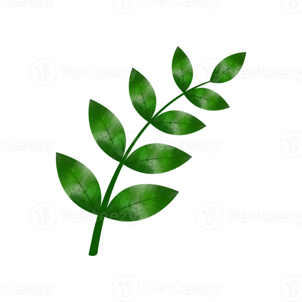 Leaves Clip art Design, can be used this design to print on greeting cards, frames, mugs,  shopping bags etc. whatever you want. png