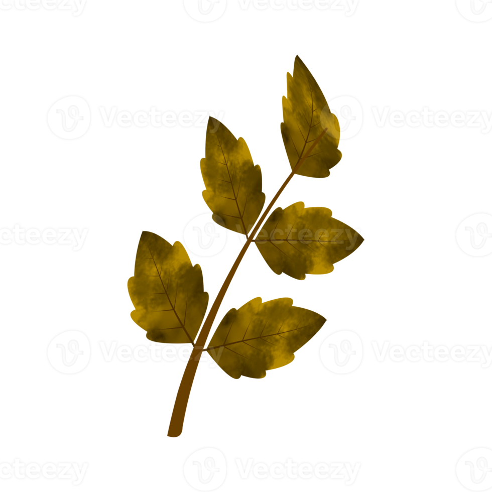 Leaves Clip art Design, can be used this design to print on greeting cards, frames, mugs,  shopping bags etc. whatever you want. png