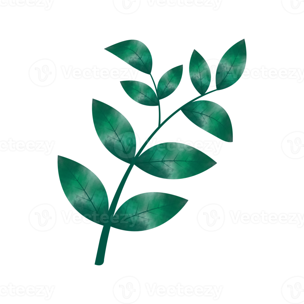 Leaves Clip art Design, can be used this design to print on greeting cards, frames, mugs,  shopping bags etc. whatever you want. png