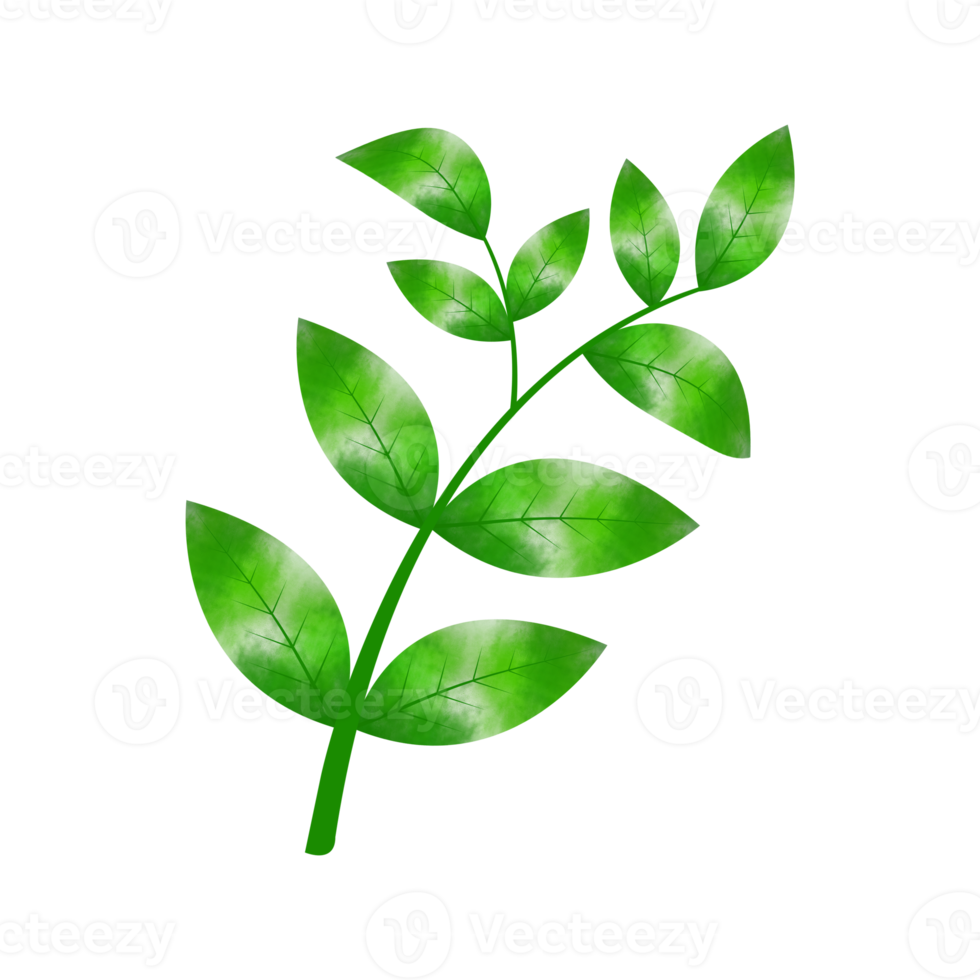 Leaves Clip art Design, can be used this design to print on greeting cards, frames, mugs,  shopping bags etc. whatever you want. png