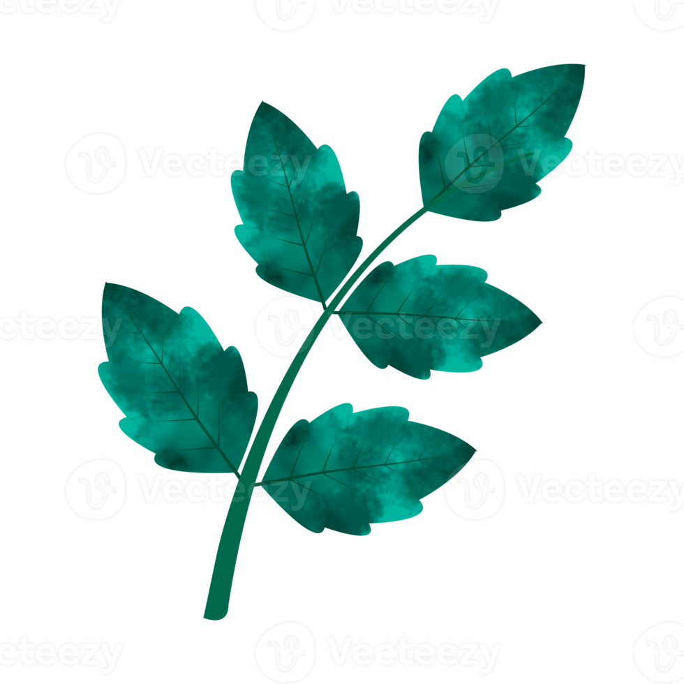Leaves Clip art Design, can be used this design to print on greeting cards, frames, mugs,  shopping bags etc. whatever you want. png