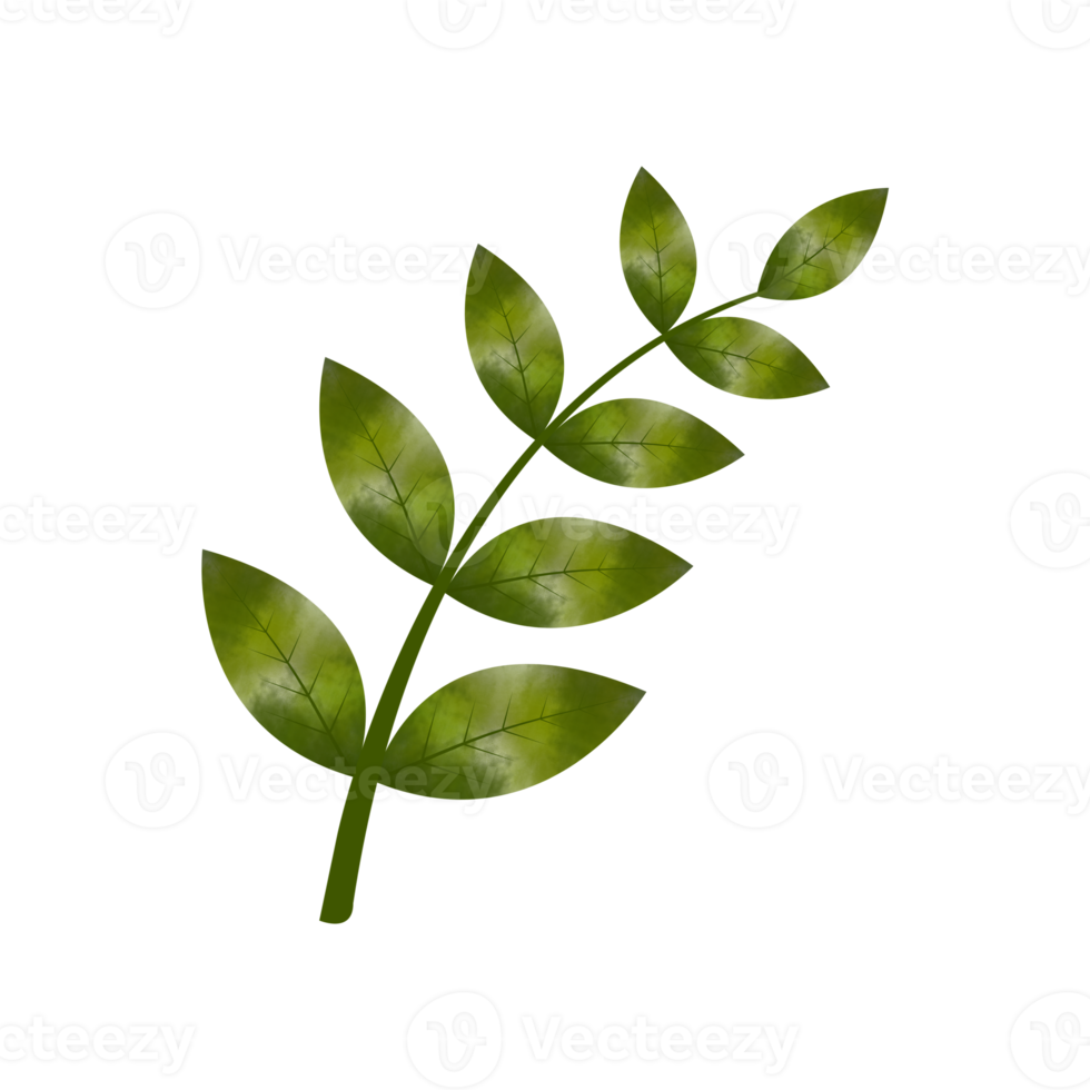Leaves Clip art Design, can be used this design to print on greeting cards, frames, mugs,  shopping bags etc. whatever you want. png