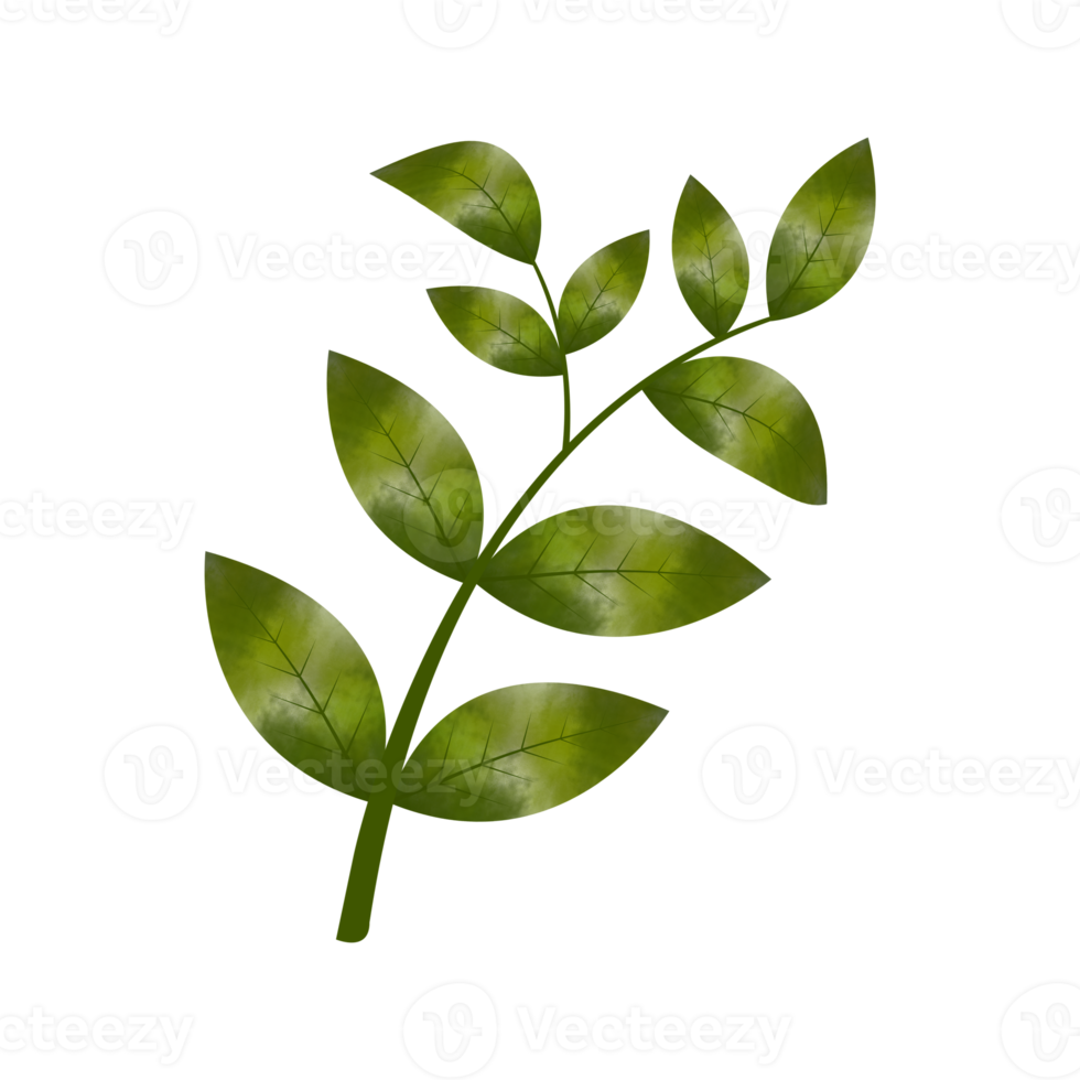 Leaves Clip art Design, can be used this design to print on greeting cards, frames, mugs,  shopping bags etc. whatever you want. png