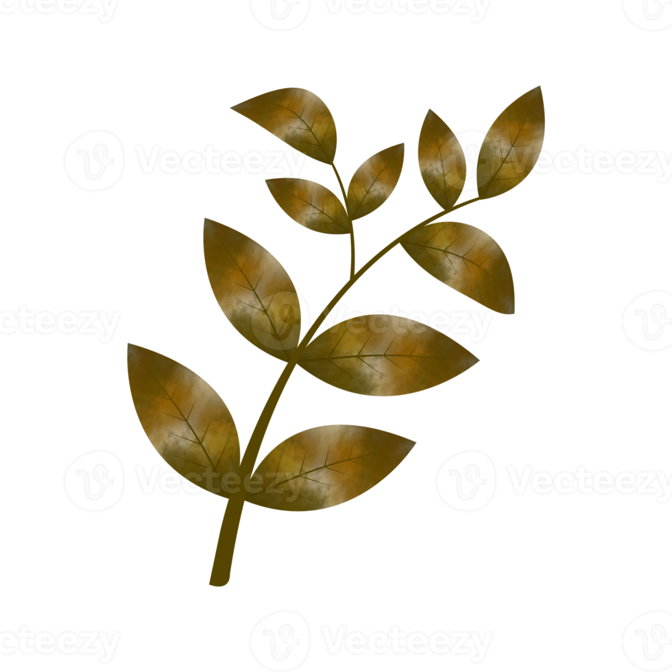 Leaves Clip art Design, can be used this design to print on greeting cards, frames, mugs,  shopping bags etc. whatever you want. png