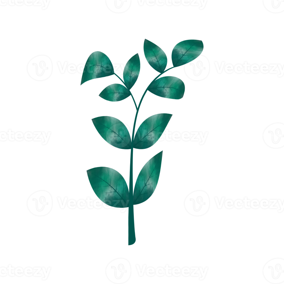 Leaves Clip art Design, can be used this design to print on greeting cards, frames, mugs,  shopping bags etc. whatever you want. png