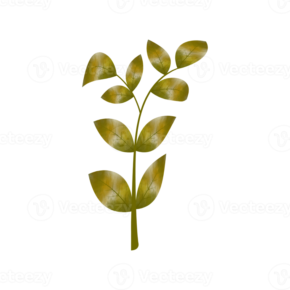 Leaves Clip art Design, can be used this design to print on greeting cards, frames, mugs,  shopping bags etc. whatever you want. png