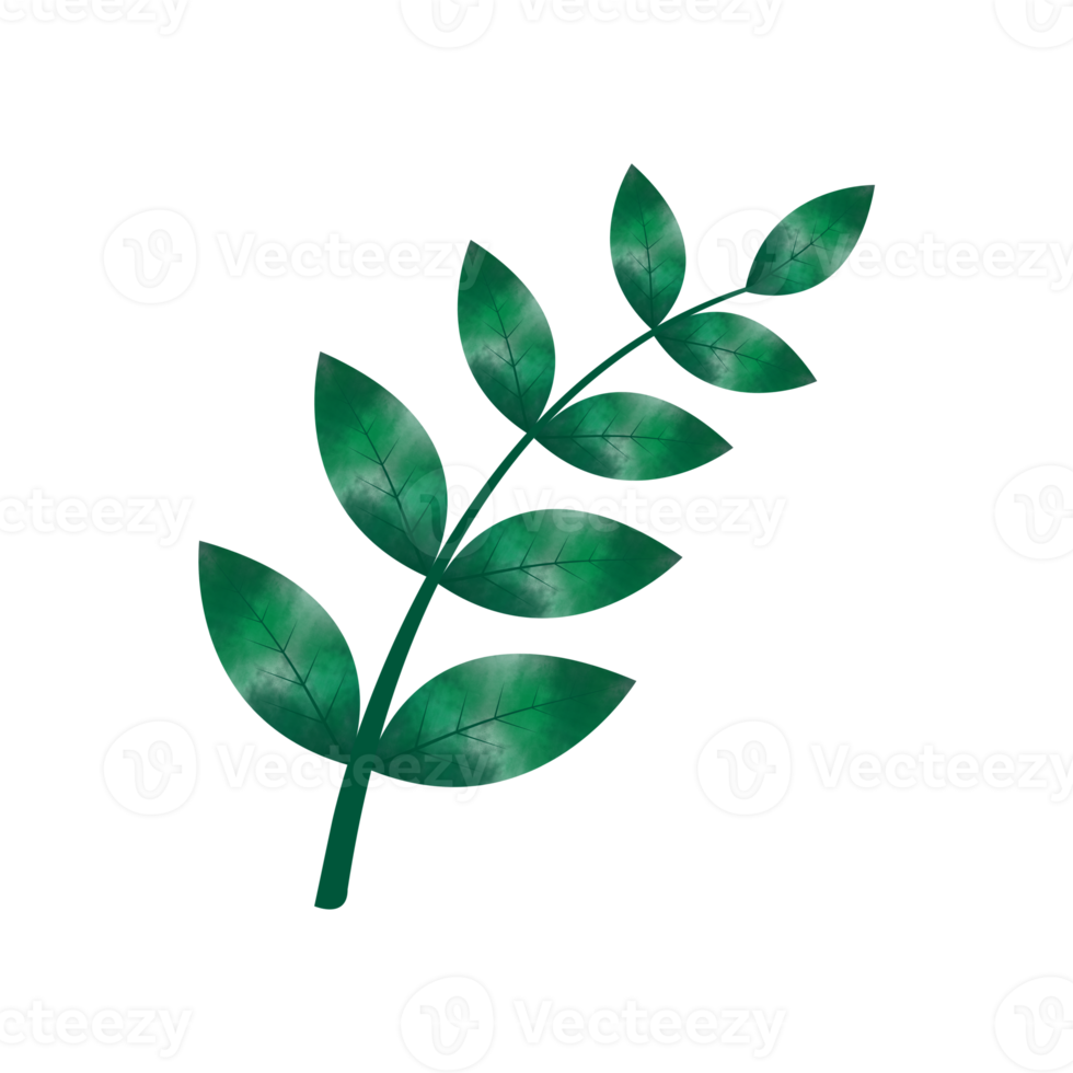 Leaves Clip art Design, can be used this design to print on greeting cards, frames, mugs,  shopping bags etc. whatever you want. png