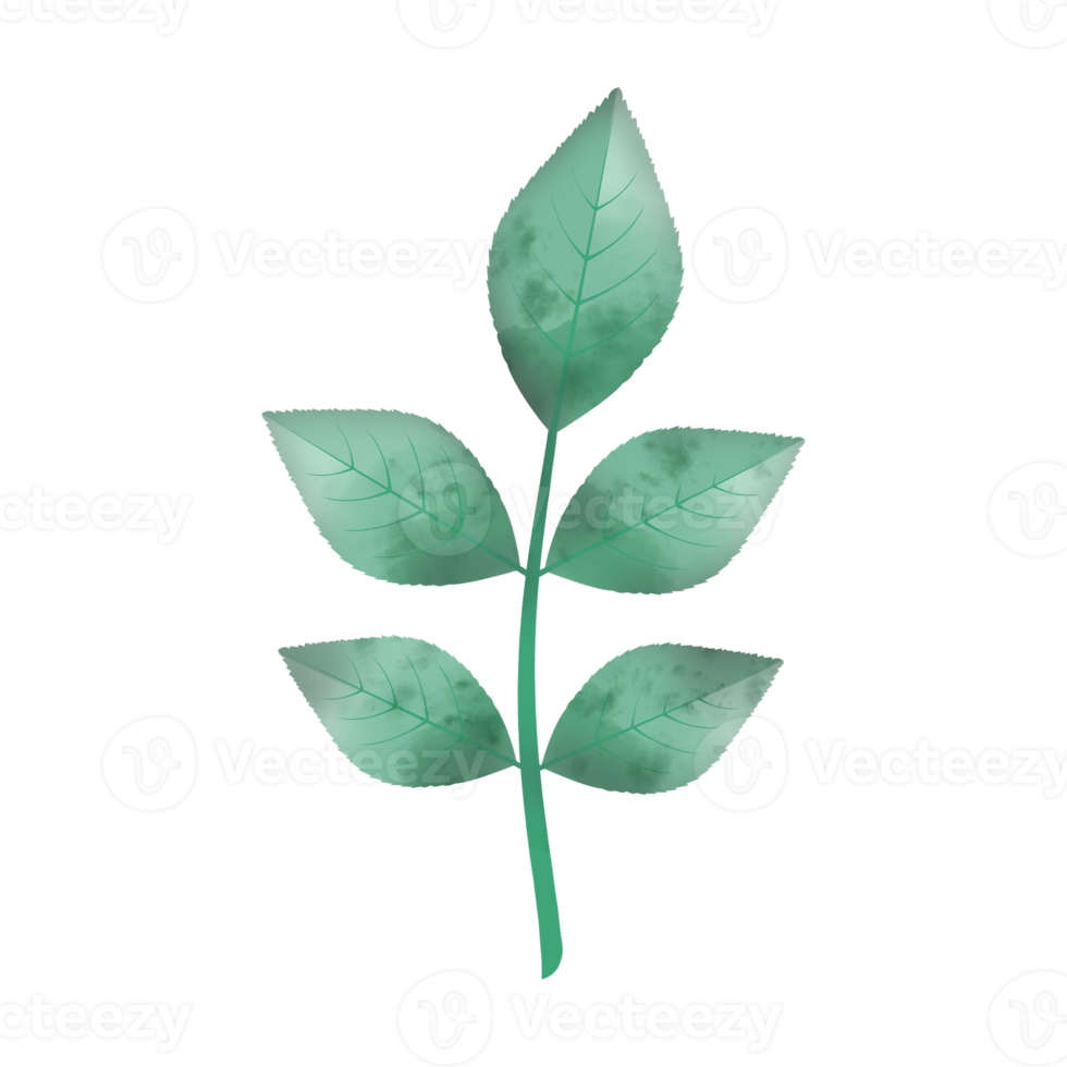 Leaves Clip art Design, can be used this design to print on greeting cards, frames, mugs,  shopping bags etc. whatever you want. png