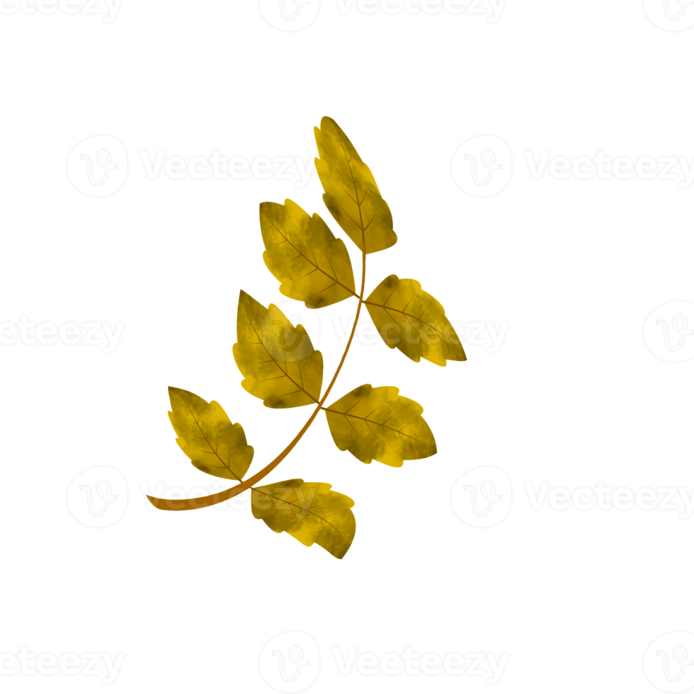 Leaves Clip art Design, can be used this design to print on greeting cards, frames, mugs,  shopping bags etc. whatever you want. png