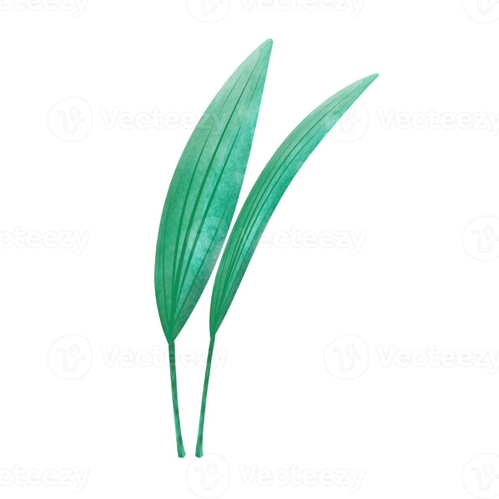 Leaves Clip art Design, can be used this design to print on greeting cards, frames, mugs,  shopping bags etc. whatever you want. png