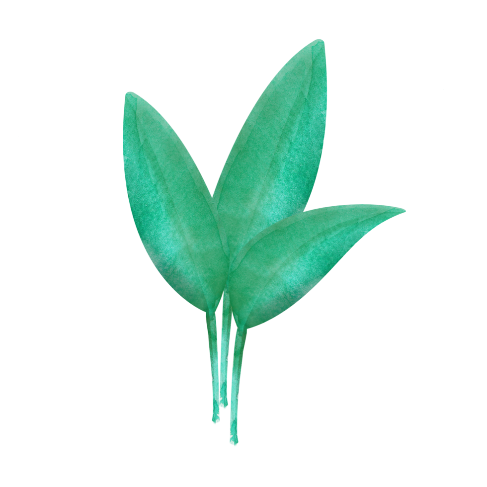 Leaves Clip art Design, can be used this design to print on greeting cards, frames, mugs,  shopping bags etc. whatever you want. png