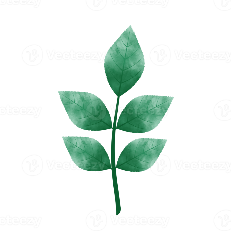Leaves Clip art Design, can be used this design to print on greeting cards, frames, mugs,  shopping bags etc. whatever you want. png