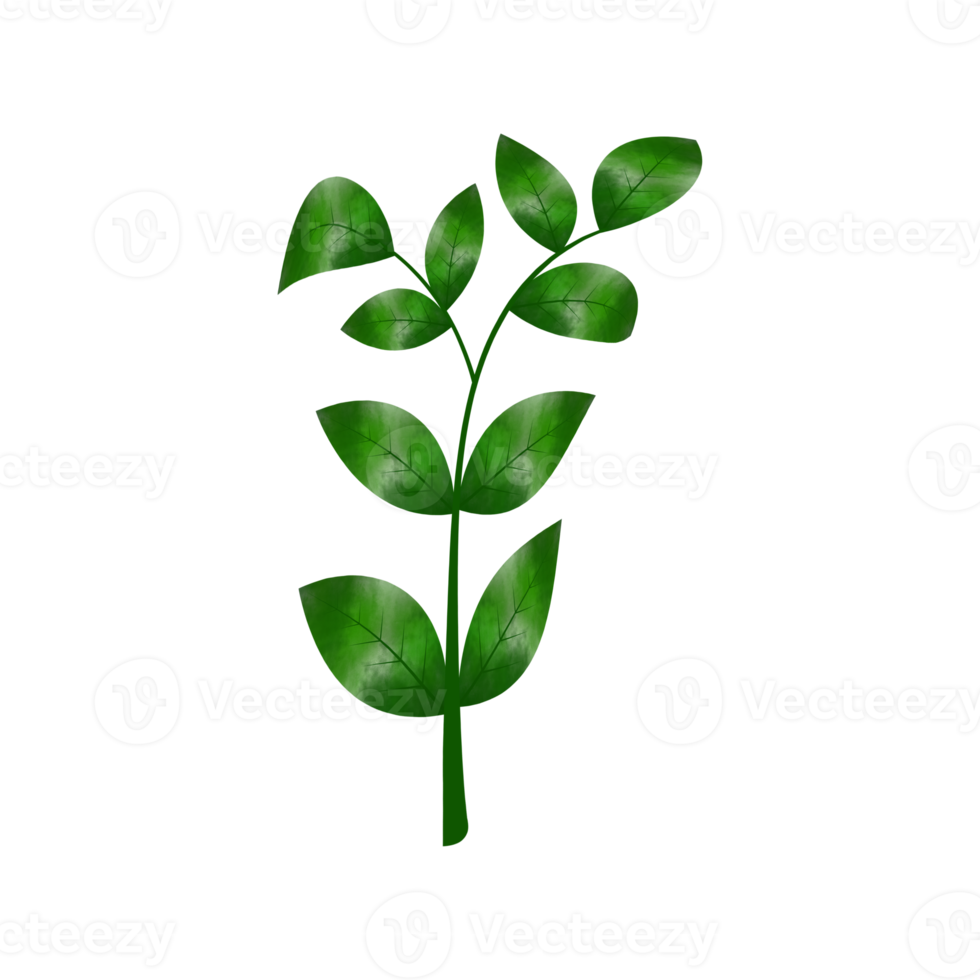 Leaves Clip art Design, can be used this design to print on greeting cards, frames, mugs,  shopping bags etc. whatever you want. png