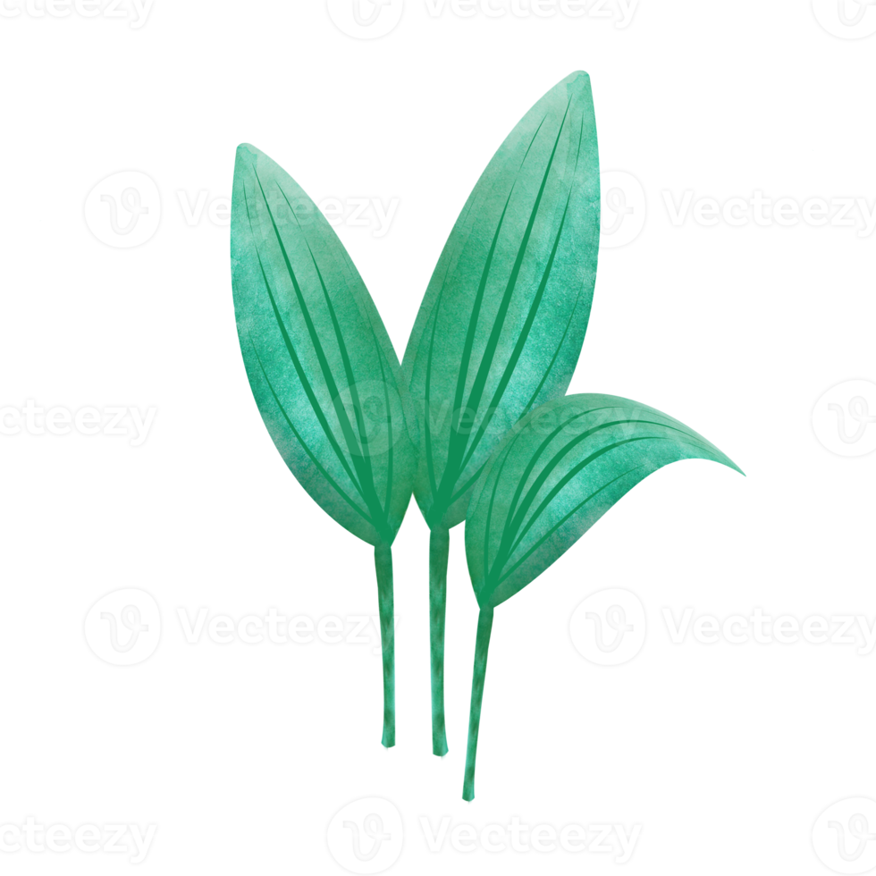 Leaves Clip art Design, can be used this design to print on greeting cards, frames, mugs,  shopping bags etc. whatever you want. png