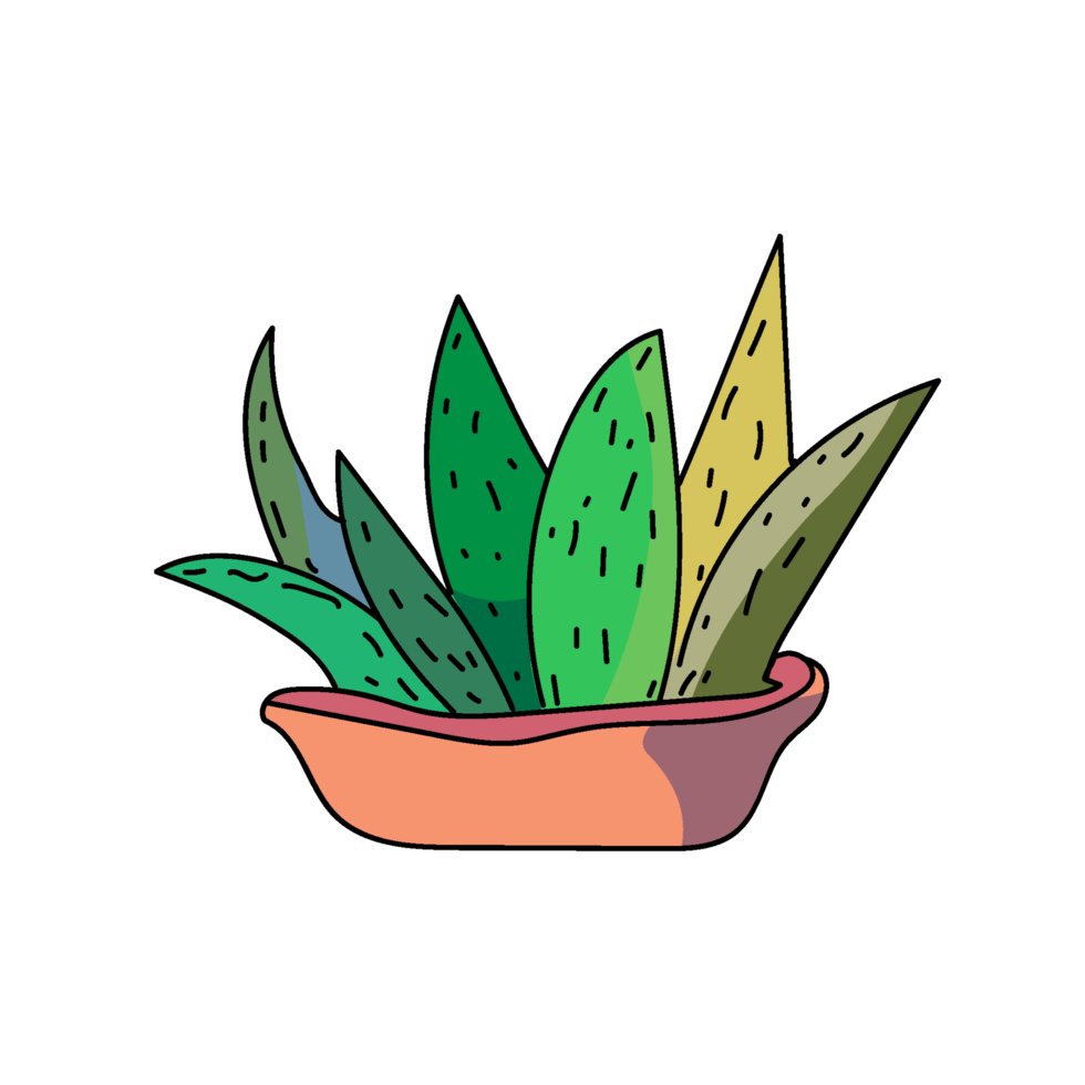 Hand drawn cartoon doodle cactus png