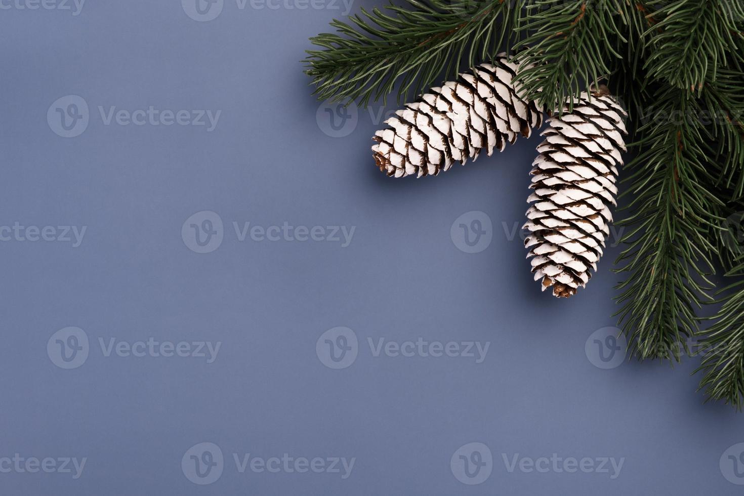 Christmas Mockup with fir branches and cones photo